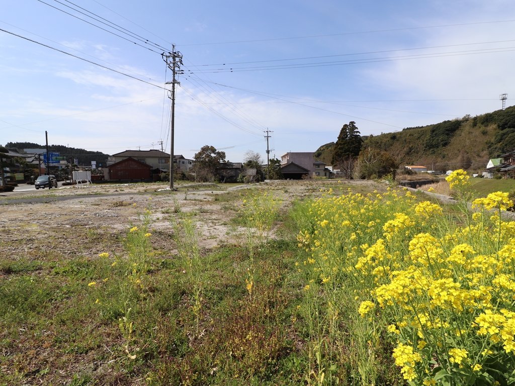 知覧町　土地